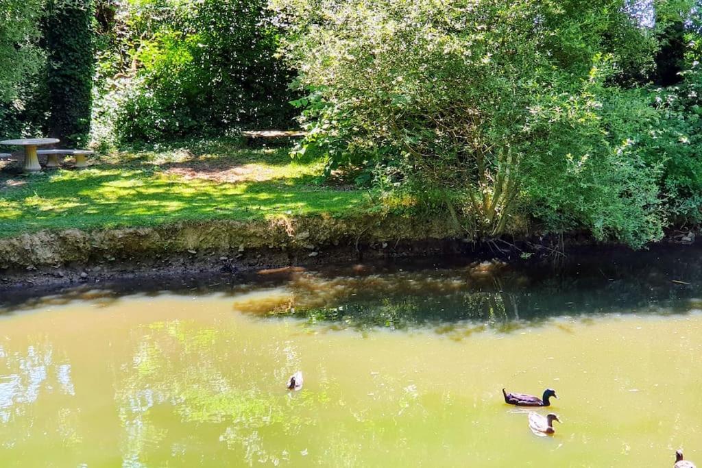 Le Confort Au Milieu D'un Parc Botanique Hébergement de vacances Noyal-Muzillac