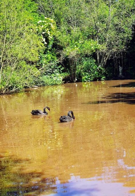 Hébergement de vacances Le Confort Au Milieu D'un Parc Botanique *
